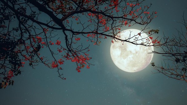 Ketahui Suhu Bulan pada Malam Hari dan Fakta Menarik Lainnya
