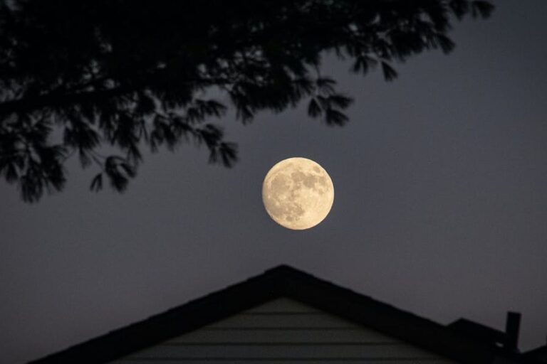 Ketahui Suhu Bulan pada Malam Hari dan Fakta Menarik Lainnya